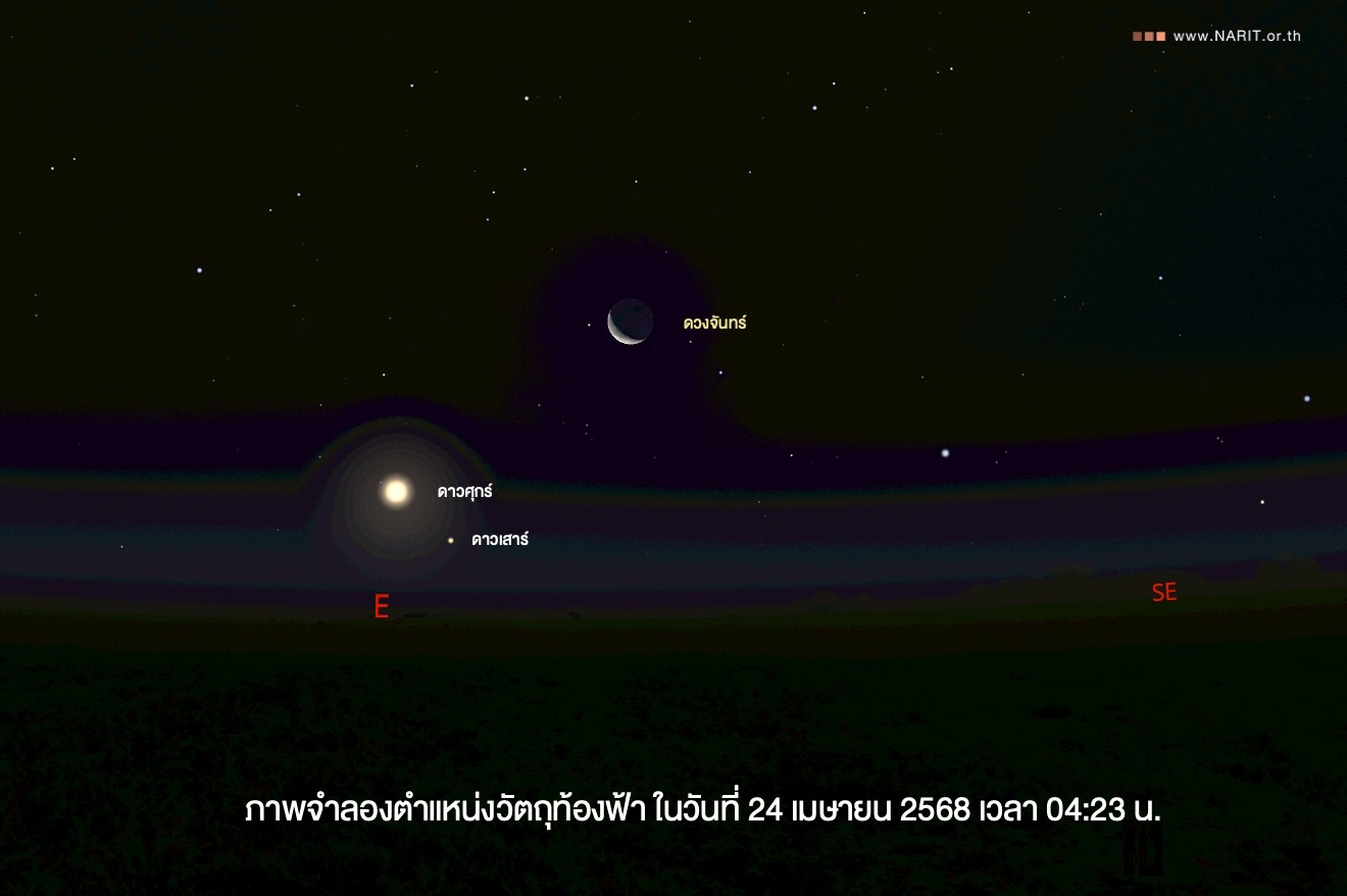 IMAGE - 10961