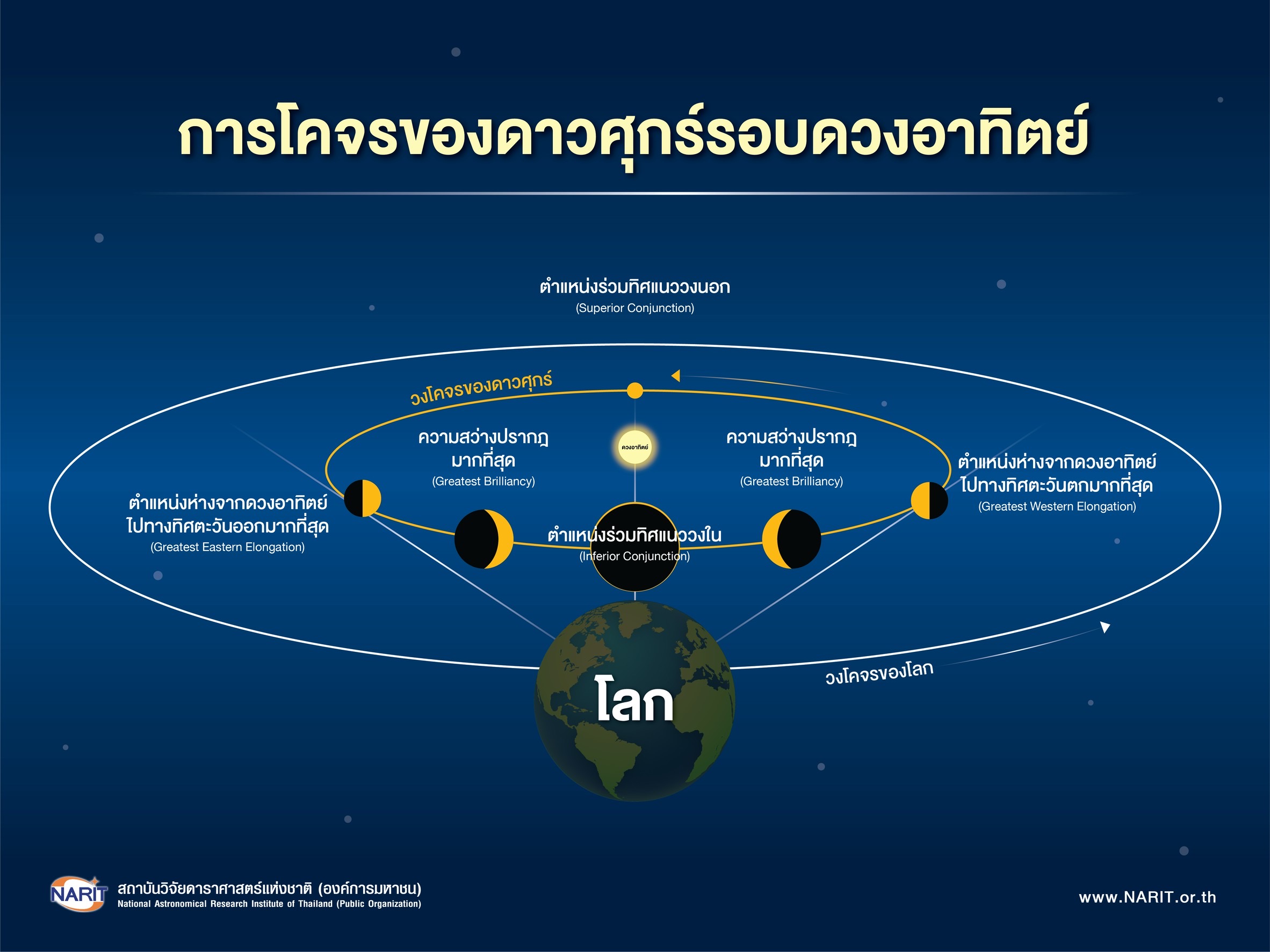 IMAGE - 10962