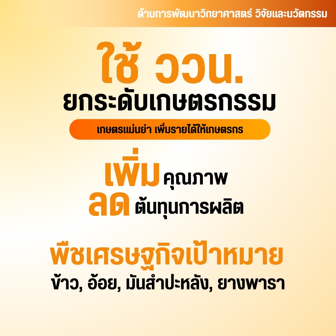 IMAGE - 12882
