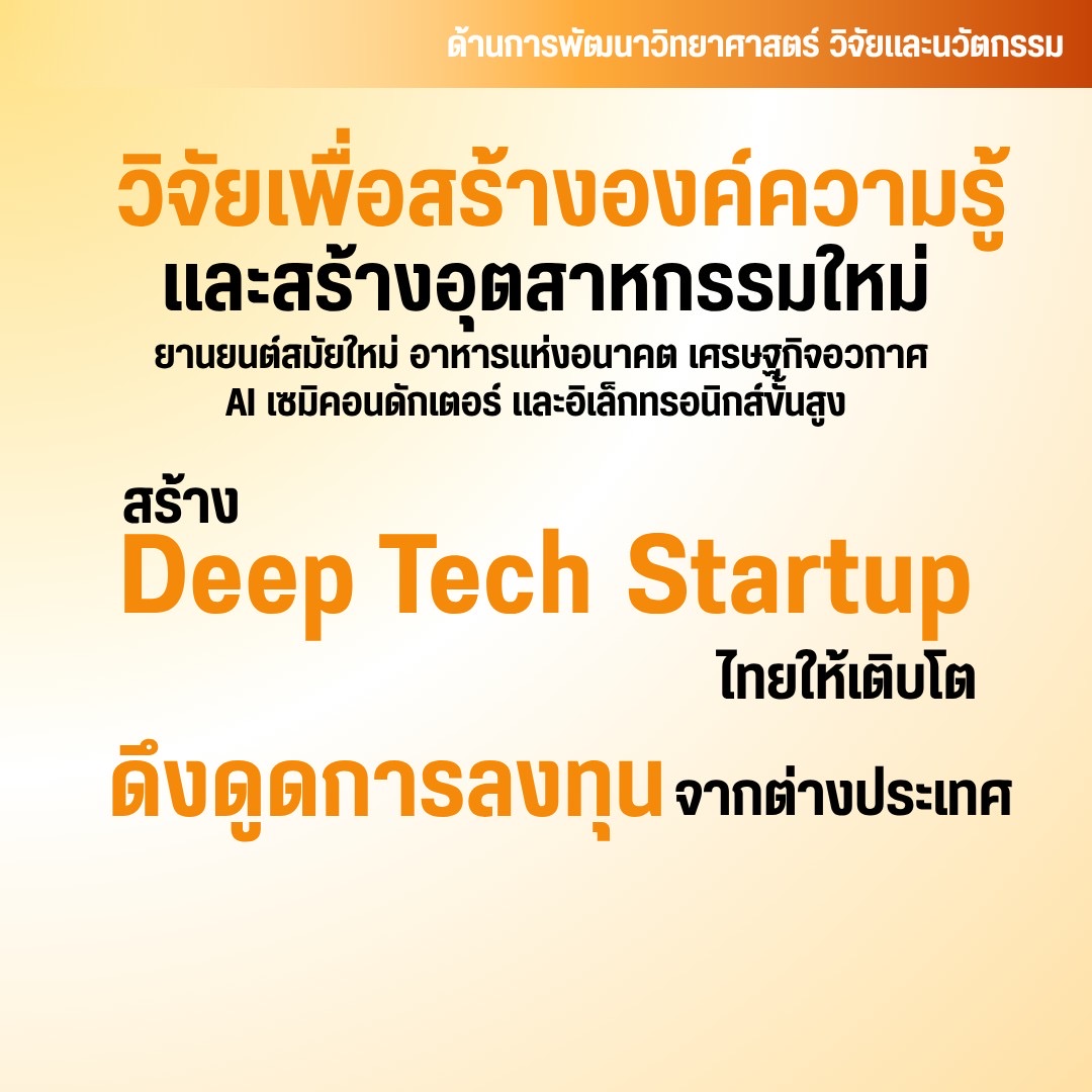 IMAGE - 12884