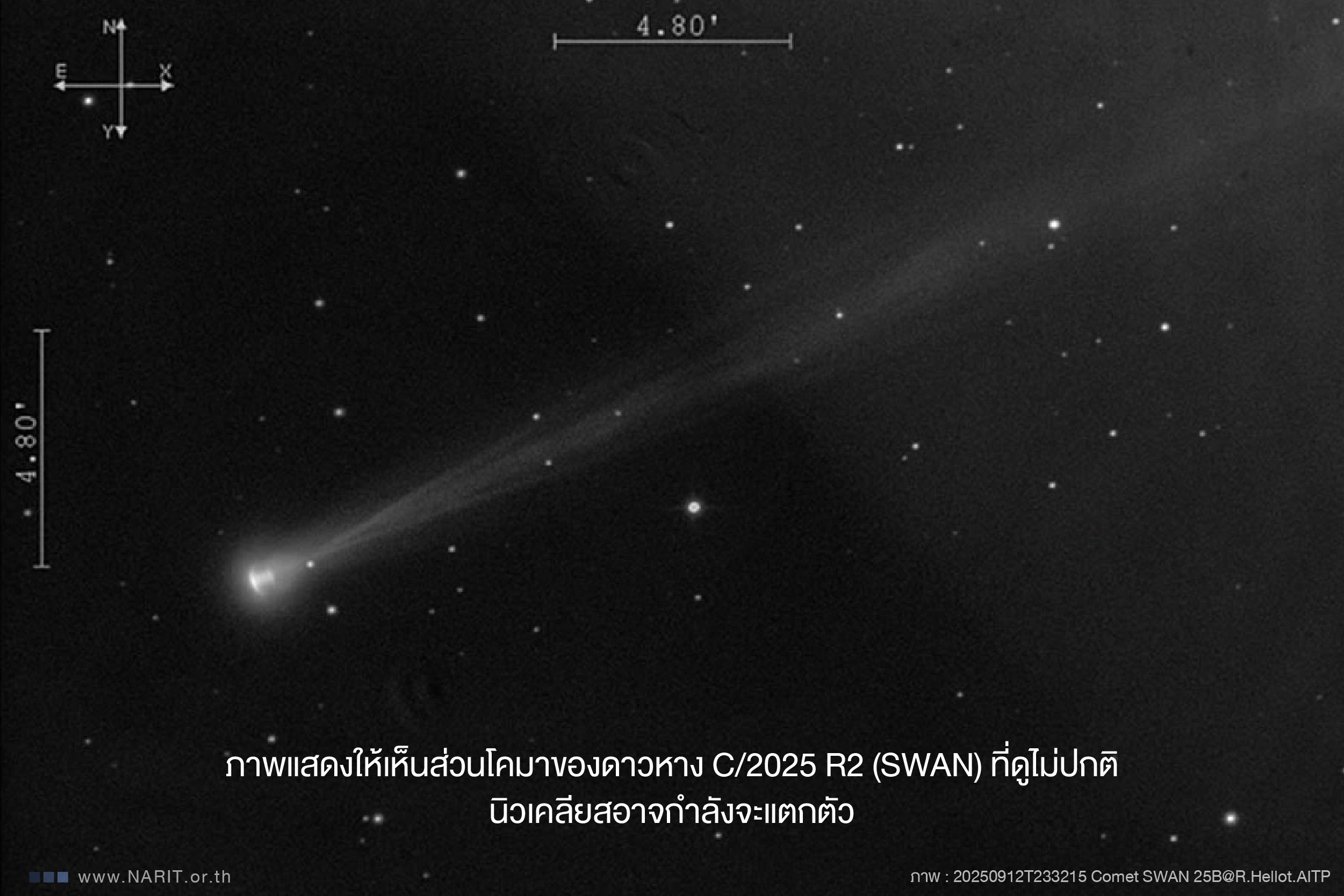 IMAGE - 14397