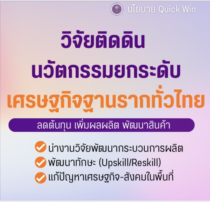 IMAGE - 14776