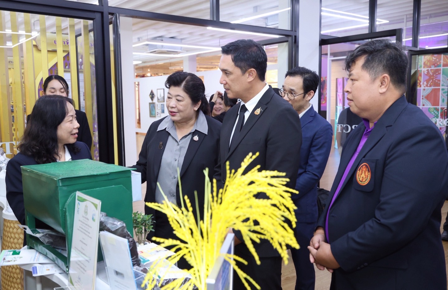 IMAGE - 19255