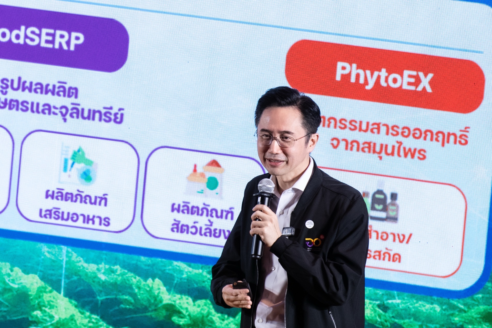 IMAGE - 19400