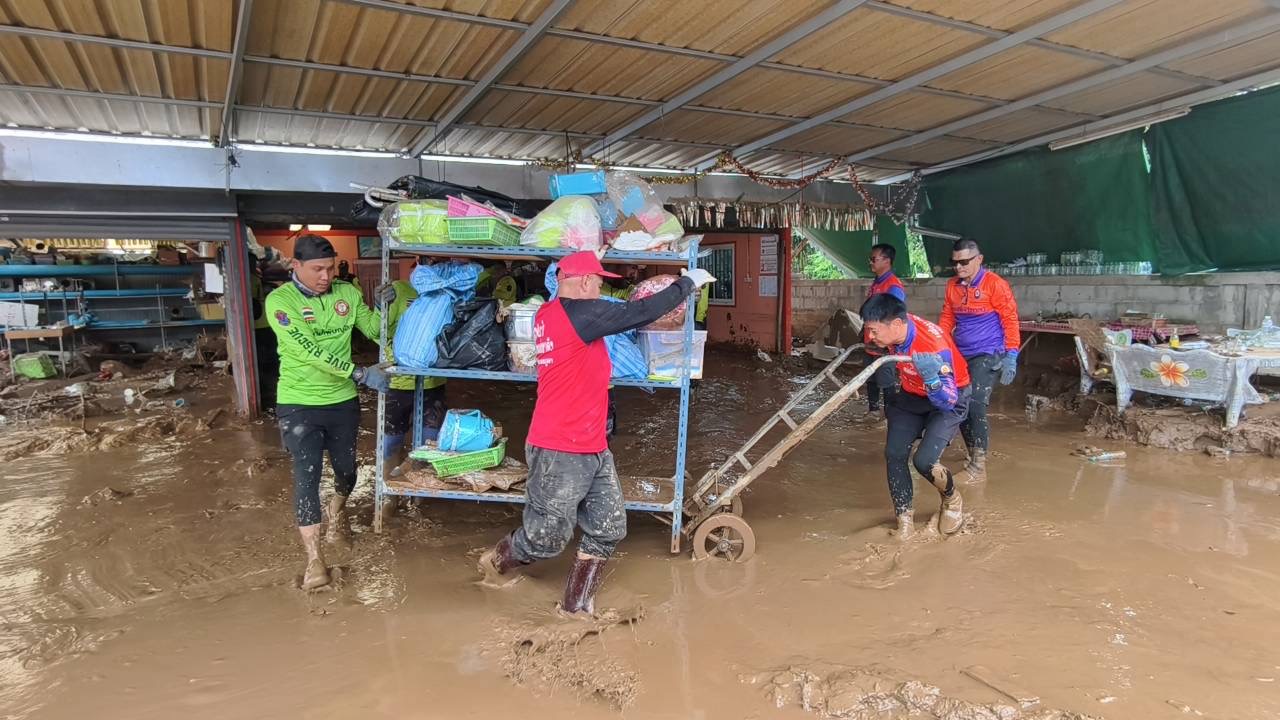 IMAGE - 21290