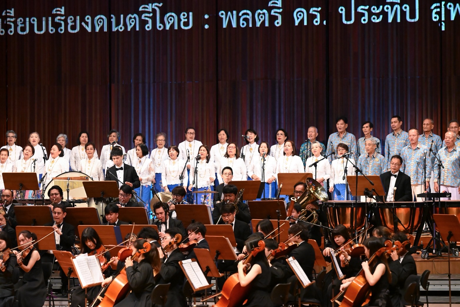 IMAGE - 21366