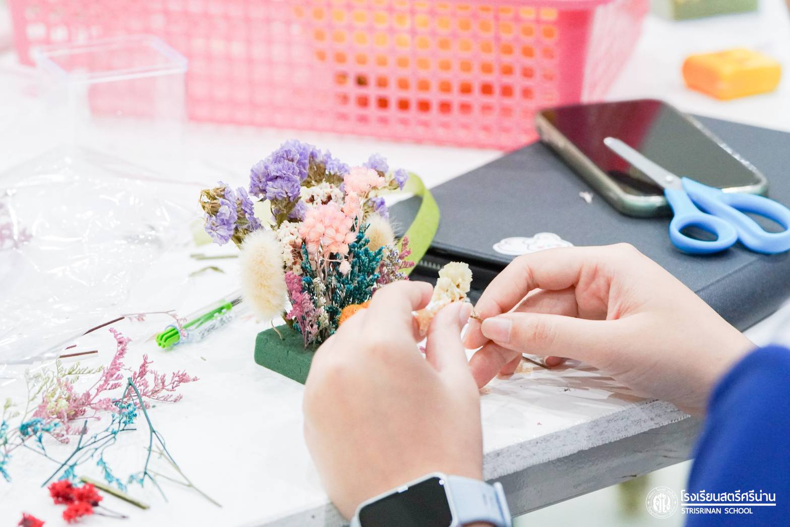 IMAGE - 21728